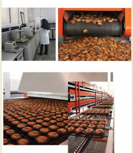 کارخانه تولید کیک و کلوچه تبریز